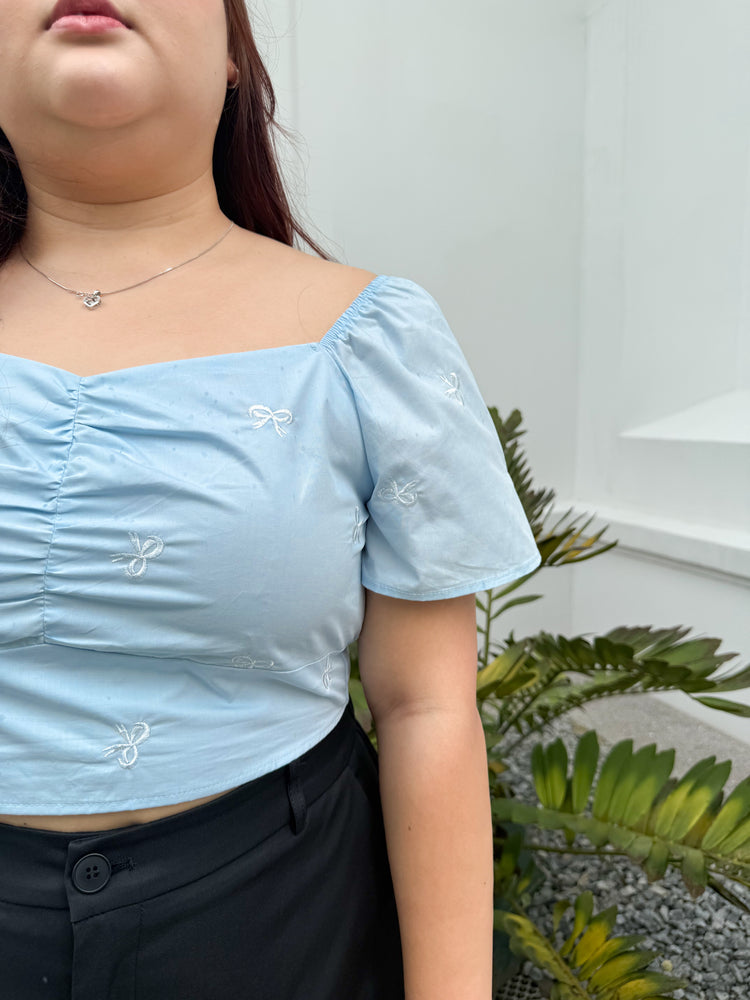 Molly Ribbon Embroidery Top (Blue)
