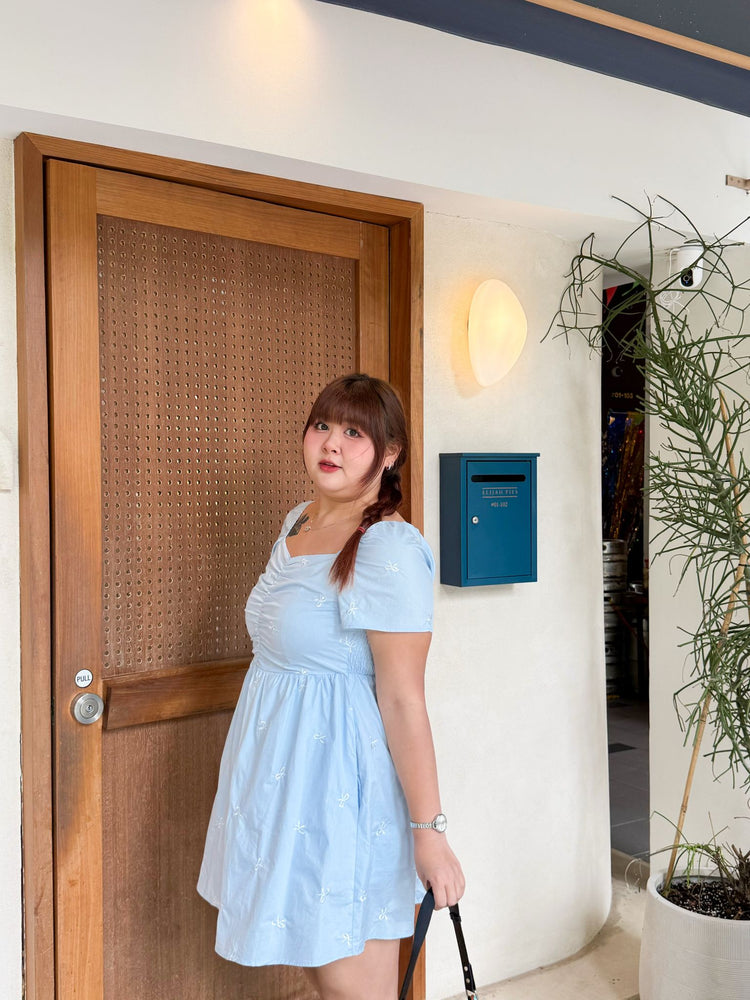 Eve RIbbon Embroidery Dress