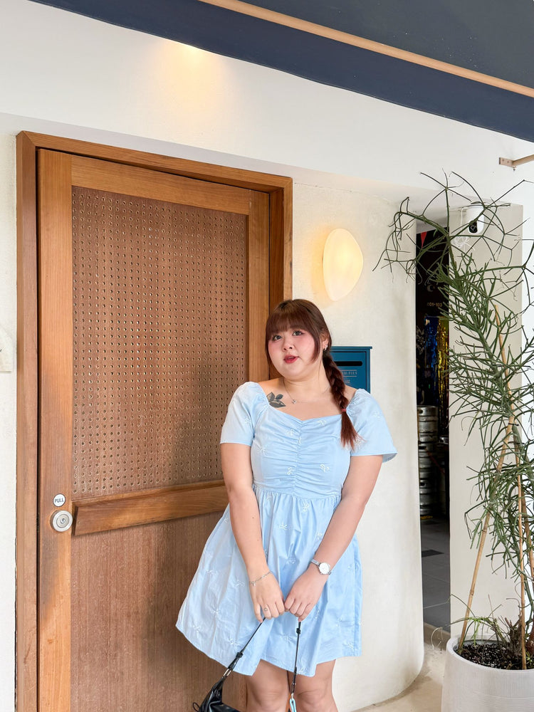 Eve RIbbon Embroidery Dress